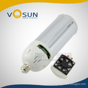 Mercury Discharge Lights Replacement 60W Corn Lamp